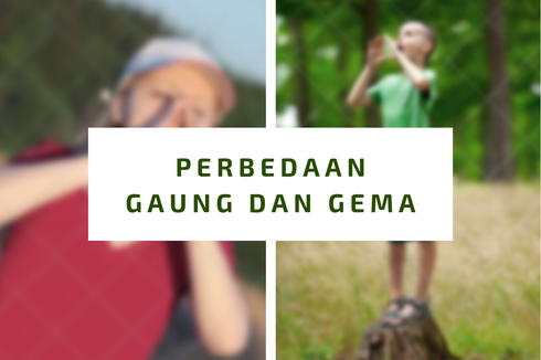 Perbedaan Gaung dan Gema