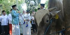 Kang Emil Sebut Masjid Salman ITB Berhasil Distribusikan Daging Kurban secara Tepat Sasaran