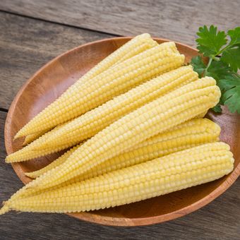 Ilustrasi jagung muda atau baby corn, jagung putren.