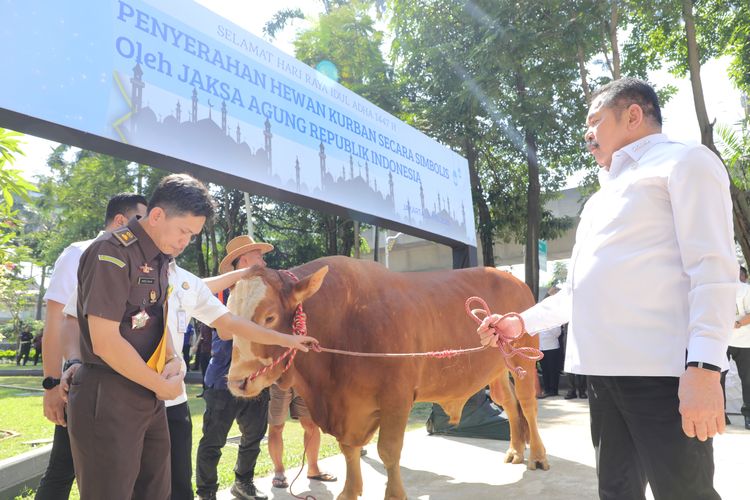 Jaksa Agung Serahkan 57 Sapi Kurban untuk Idul Adha