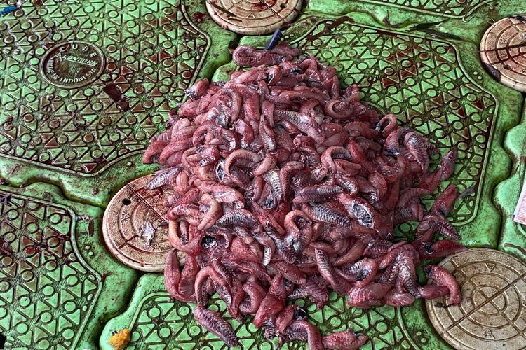 Tangkap Ikan Sapu-sapu untuk Dijual, 5 Pria di Pasar Baru Jakpus Diamankan Satpol PP