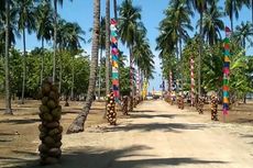 Pintar Asia Beach, Pantai Pasir Putih di Sikka dengan Ratusan Pohon Kelapa