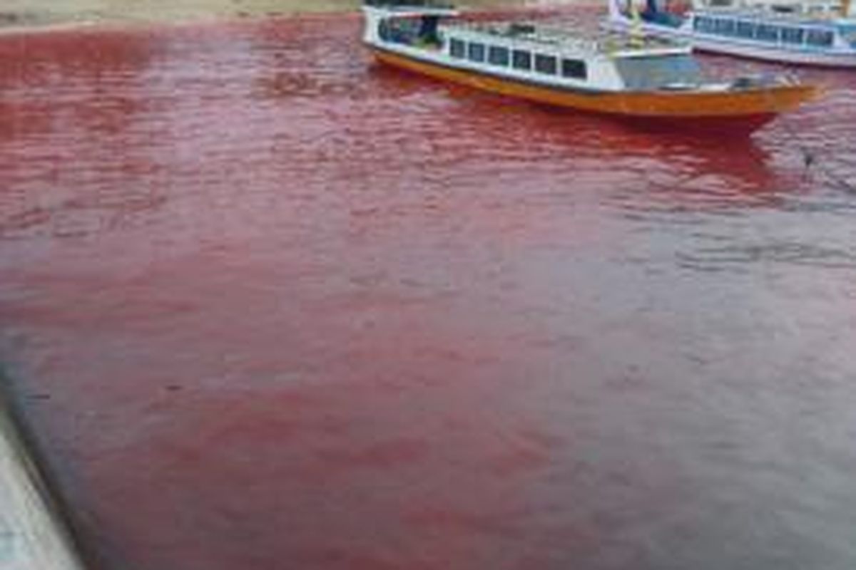 Air laut di Pulau Ai, Kepulauan Banda, Kabupaten Maluku Tengah tampak berubah seperti darah. fenomena ini pun menggemparkan warga di Pulau itu, Minggu (21/6/2015)