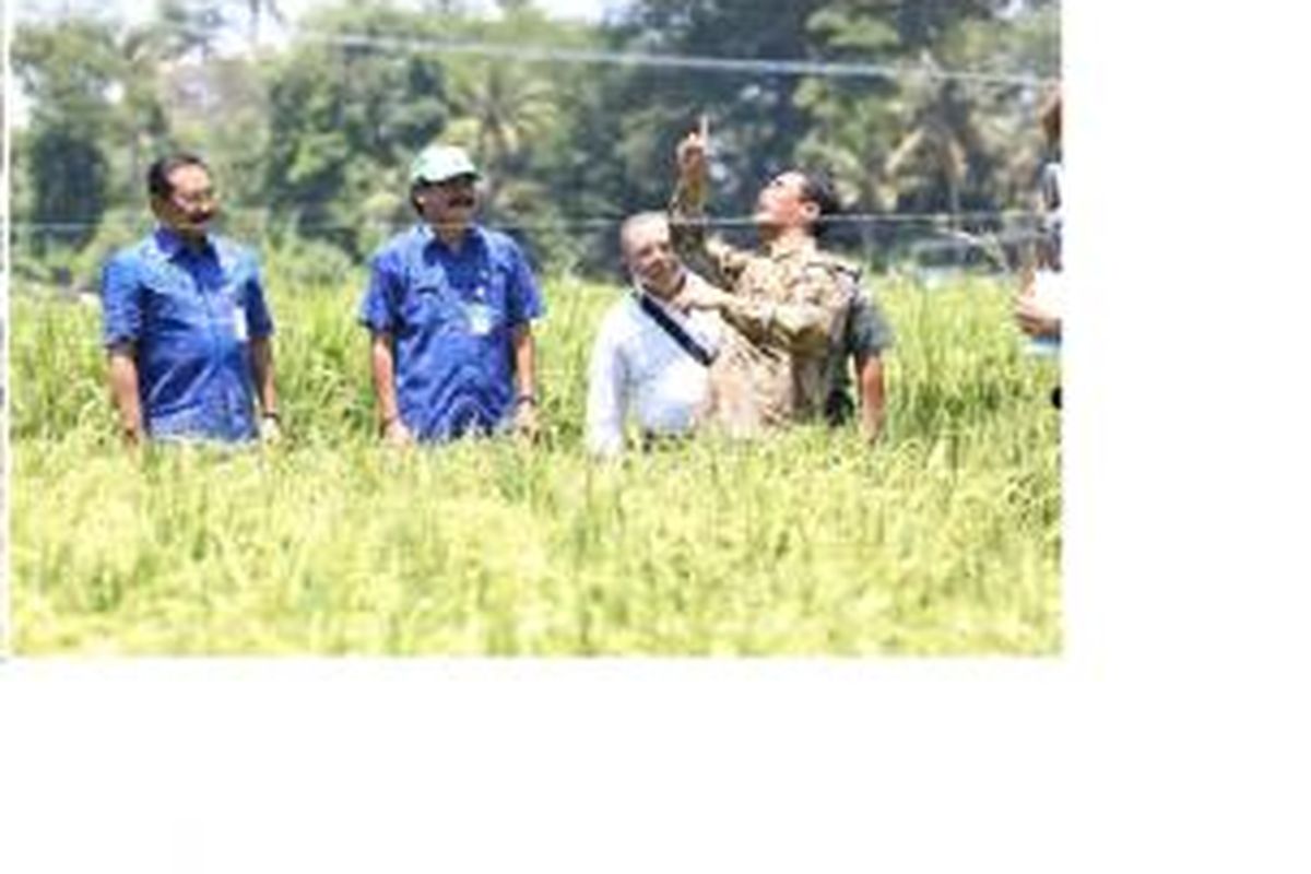 Menteri Pertanian Amran Sulaiman saat berada di Kab. Badung Bali