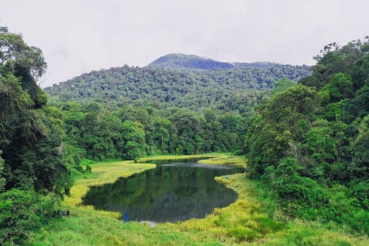 Taman Nasional Batang Gadis, Mandailing Natal, Sumatera Utara