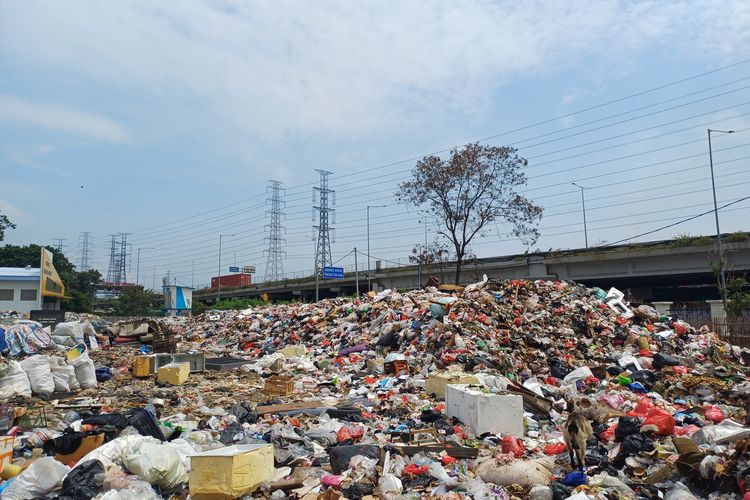Tumpukan Sampah di TPS Waduk Cincin Meluber, Bau Menyengat Tercium hingga 20 Meter