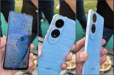 Zulhas Tinjau Lahan Pertanian Terdampak Banjir di Pidie Jaya Aceh