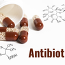 Mikroorganisme Penghasil Antibiotik