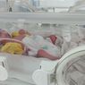 Ibu Muda di Jambi Lahirkan Bayi Kembar 4, padahal Awalnya Terdeteksi Kembar 2