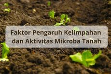 Faktor Pengaruh Kelimpahan dan Aktivitas Mikroba Tanah