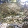 Melacak Jejak Kima Raksasa yang Terkubur Letusan Tambora di Teluk Nangamiro, NTB
