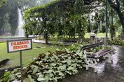 BRIN: Alih Fungsi Lahan hingga Overtourism Jadi Ancaman Keanekaragaman Hayati di Jawa