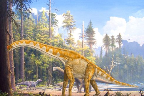 Jejak Kaki Raksasa Ungkap Rahasia Dinosaurus Berleher Panjang 