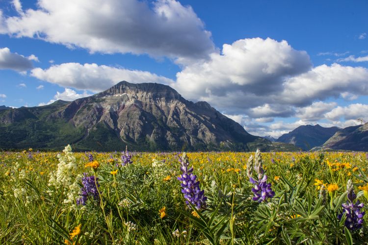 Waterton Lakes National Park di Kanada, salah satu lokasi syuting serial The Last of Us
