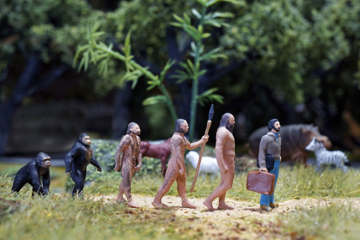 Ilustrasi evolusi manusia. Manusia masih terus berevolusi hingga saat ini.