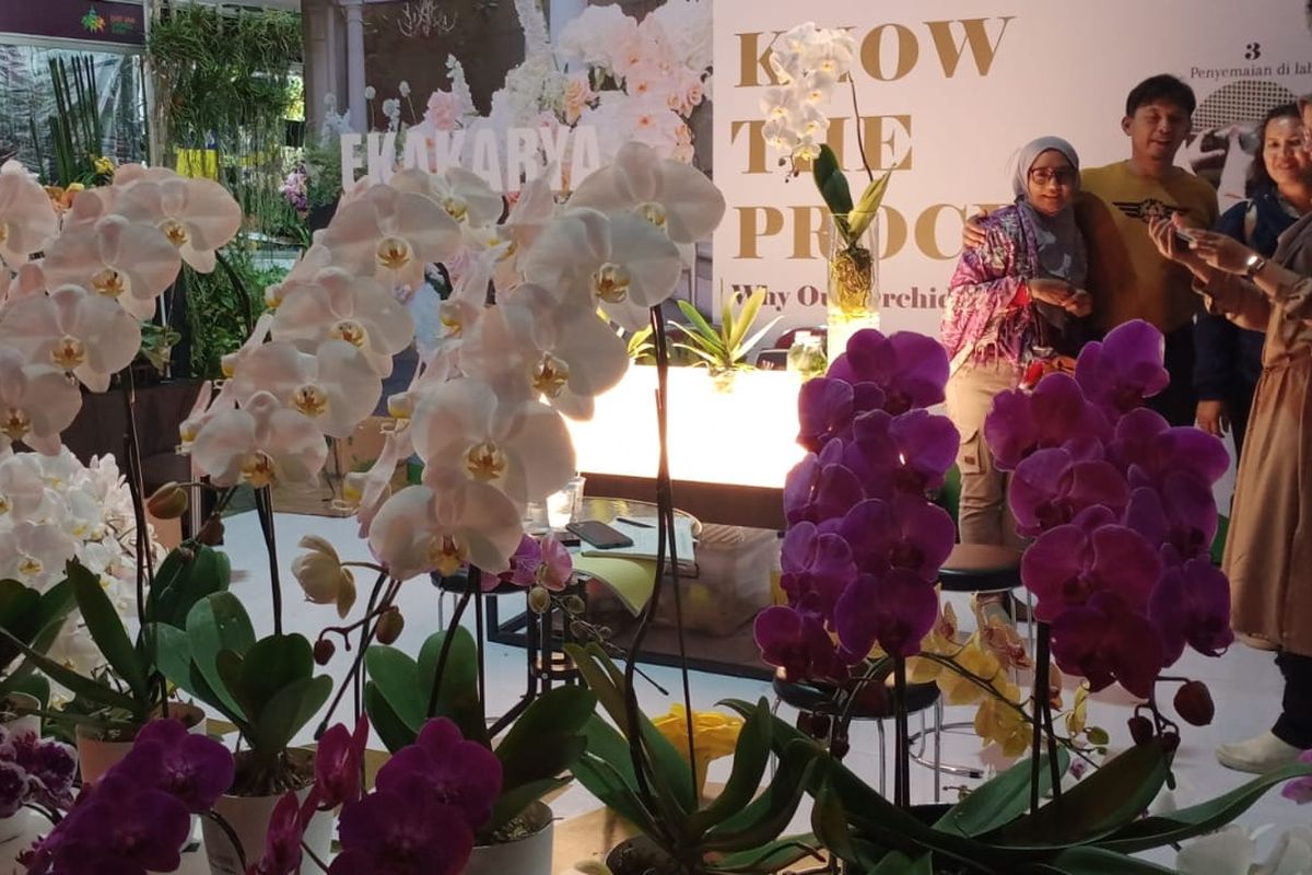 Berbagai tanaman anggrek tampil pada Batu International Orchid Show 2022