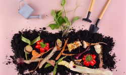 Riset Dunia Ungkap, Biochar Bisa Jadikan Pengomposan Lebih Hijau