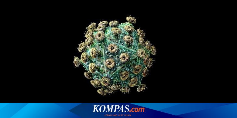 Begini Tahapan Infeksi Hiv Hingga Menjadi Aids Halaman All Kompas Com