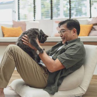 Cara memperkuat ikatan kucing dan pemiliknya.