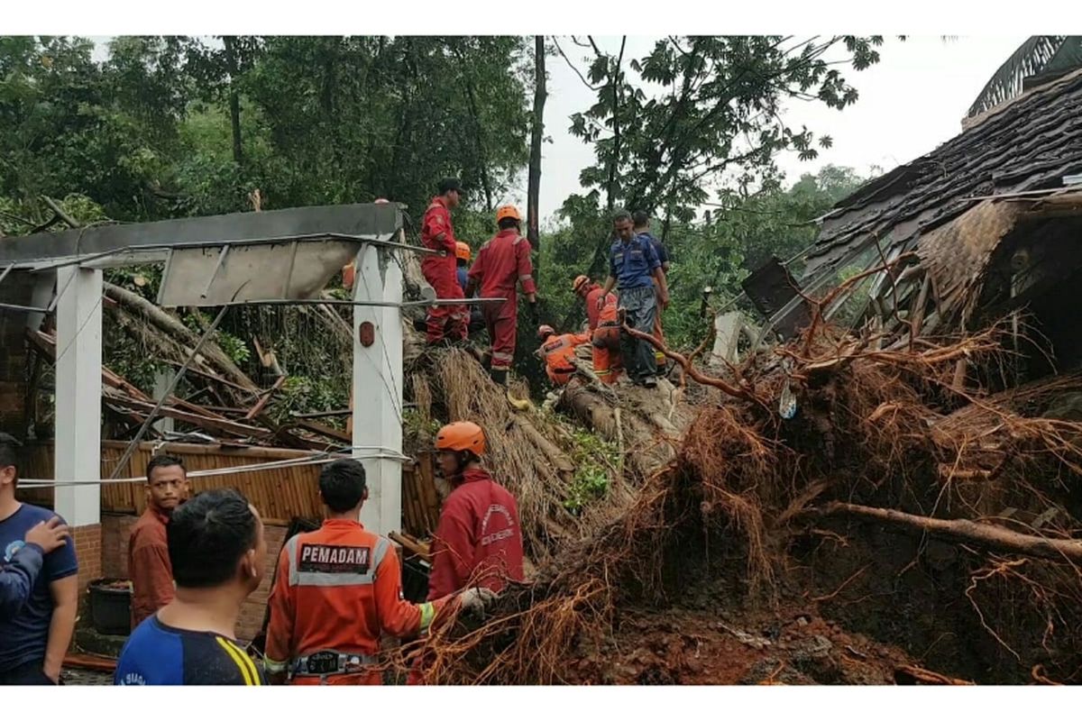 Pohon tumbang di Pondok Gurame, Jalan KSU Raya, Depok, Senin (1/4/2019).