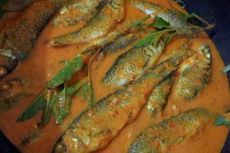 Resep Pangek Ikan Tongkol Khas Minang, Kuahnya Mirip Gulai tapi Lebih Kental