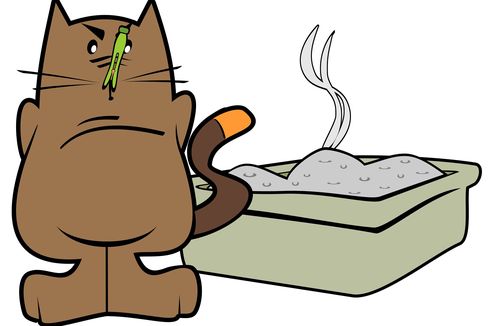 Manfaat Ganda Pasir Silika Kucing, Bisa Digunakan untuk Menghilangkan Bau Apek Lemari