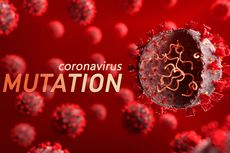 Kronologi Penemuan Varian Virus Corona E484K di Jakarta 