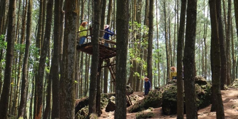 Hutan Pinus Mangunan masuk dalam kawasan Resort Pengelolaan Hutan (RPH) Mangunan. Lokasinya yang searah dengan Makam Raja-raja Imogiri seringkali membuat wisatawan terkecoh dengan menyebutnya Hutan Pinus Imogiri. 