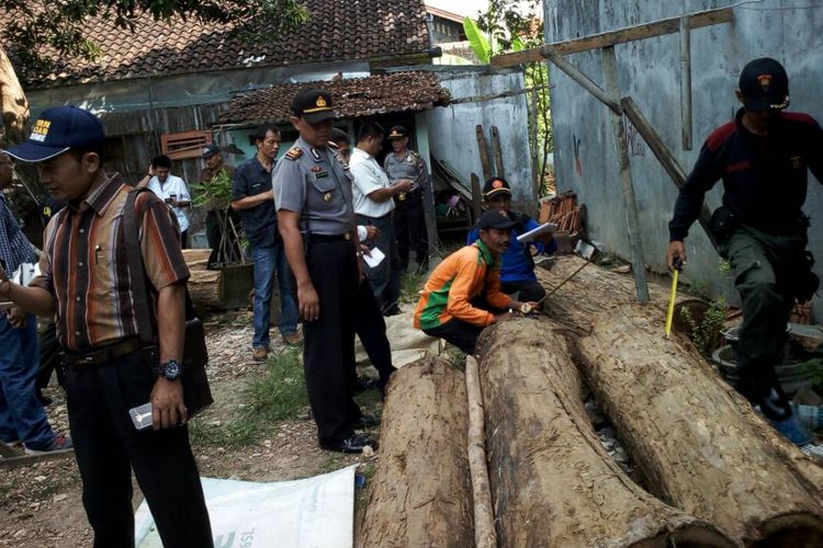 Polisi menunjukkan puluhan kayu ilegal milik pengusaha kayu asal Kecamatan Jepon, kabupaten Blora, Jawa Tengah, Kamis (15/6/2017). 