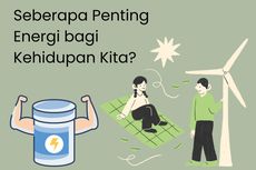 Seberapa Penting Energi bagi Kehidupan Kita?