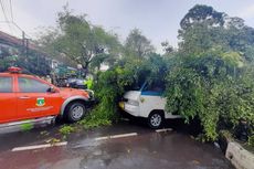Siklon Tropis Tumbangkan Pohon Beringin Tua Alun-alun Kota Serang