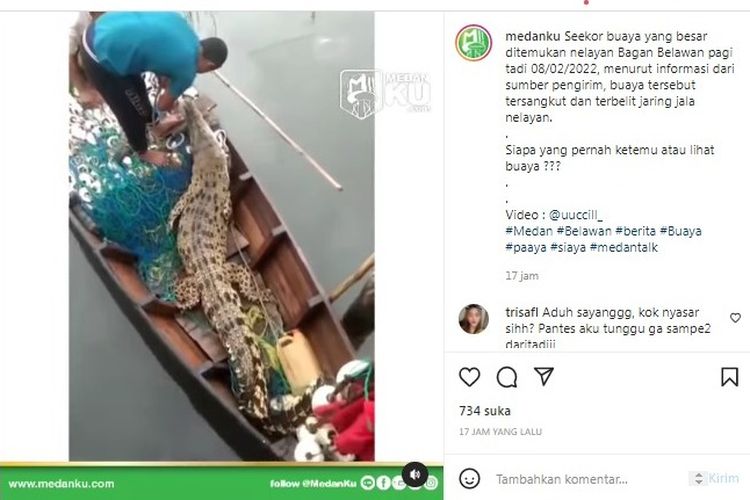 Tangkapan layar dari unggahan Instagram @medanku memperlihatkan buaya di atas perahu nelayan di Belawan akibat tersangkut jaring.