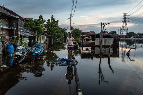 BMKG: Waspada Potensi Banjir Rob 3 Hari ke Depan, Ini Daftar Wilayahnya...