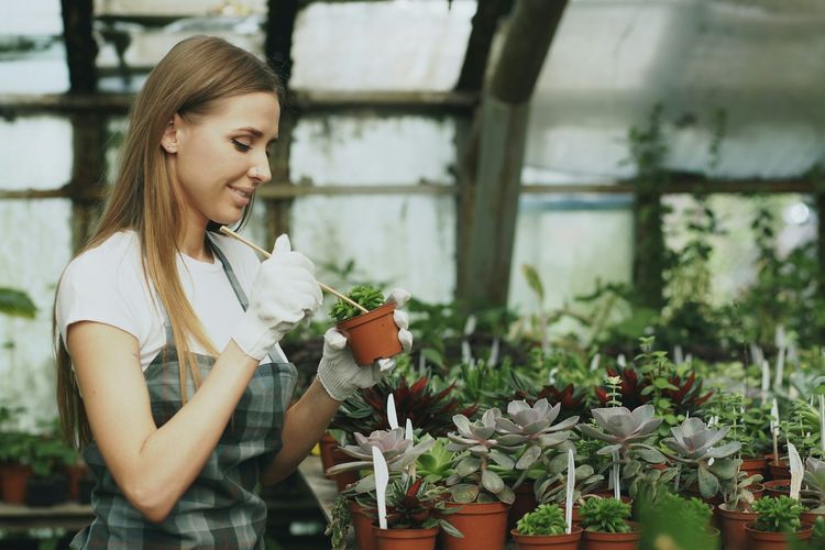 Ilustrasi merawat tanaman, Ilustrasi berbicara dengan tanaman yang dapat membuatnya tanaman tumbuh lebih cepat.