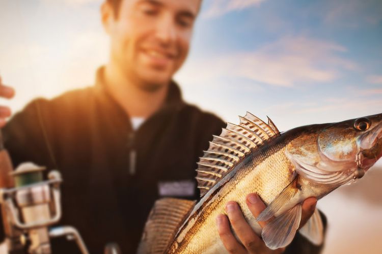 Di Austria, memancing pun diatur dengan undang-undang. Agar tak ada penyiksaan satwa yang terlalu menimbulkan penderitaan pada satwa