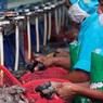 Pemerintah Siapkan Program Strategis Tumbuhkan Wirausaha Industri Baru