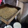 Banyak Orang RI Tidak Menyadari, Tempe Dibuat dari Kedelai Transgenik