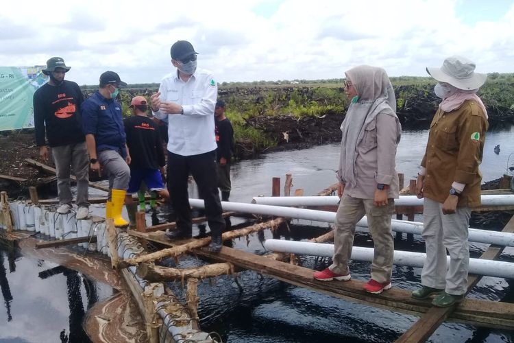 Kepala BRG, Nazir Foead saat melihat pemasangan sekat kanal permanen di Tahura Orang Kayo Hitam.