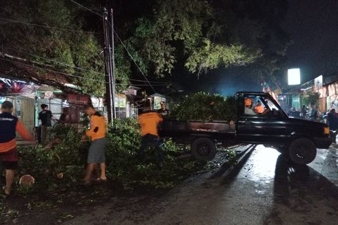 Dahan Pohon Asam Berusia Ratusan Tahun Patah Timpa Pengendara Motor di Wonogiri, Korban Patah Tangan dan Kaki