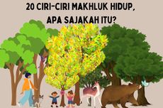 20 Ciri-ciri Makhluk Hidup, Apa Sajakah Itu?