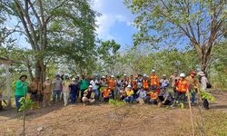 PT Bukit Asam Sukses Pulihkan 234 Hektar DAS di Muara Enim