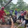 Pohon Tumbang di Hutan Tleseh Gunungkidul, 3 Orang Terluka