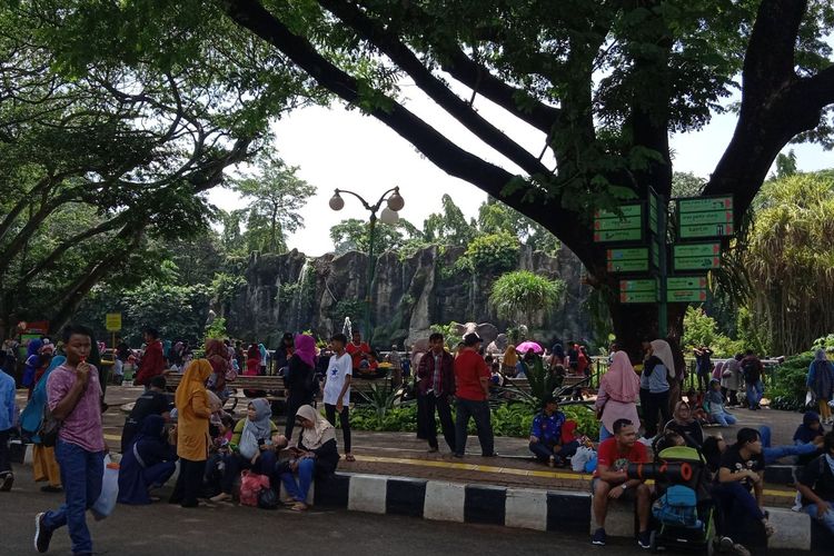 Libur Natal, Taman Margasatwa Ragunan Ramai Pengunjung, Selasa (24/12/2019)