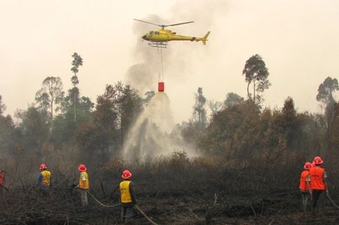 BNPB Sebut Hujan yang Belum Rata Sulitkan Pemadaman Karhutla