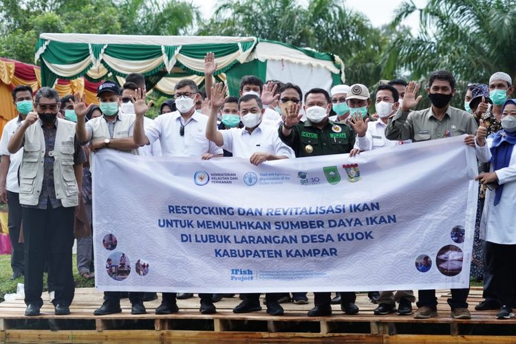 Kementerian Kelautan dan Perikanan (Kementerian KP) bersama Food and Agriculture Organization of the United Nations (FAO) melakukan restocking puluhan ribu ikan endemik di sungai Sangolan, Kabupaten Kampar, Provinsi Riau, Jumat (18/3/2022).

