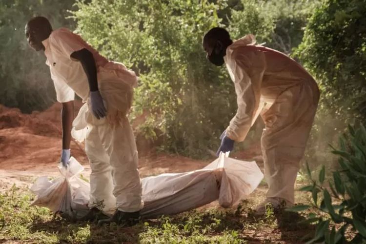 Kepolisian Kenya telah menemukan 89 jenazah di kawasan hutan dekat Kota Malindi. Mereka diyakini mematuhi pimpinan sebuah sekte yang meminta para pengikutnya untuk mati kelaparan agar bisa bertemu Yesus. 