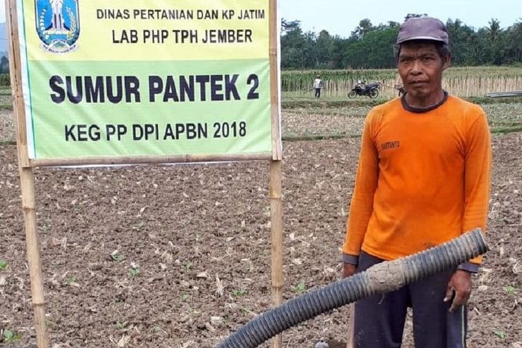 Berdasarkan data Direktorat Jenderal Tanaman Pangan (Ditjen TP) Kementan, dampak kekeringan 1,34 persen atau 135.226 hektar dibandingkan dengan luas tanam 2018 periode Januari-Agustus yakni 10.079.475 hektar