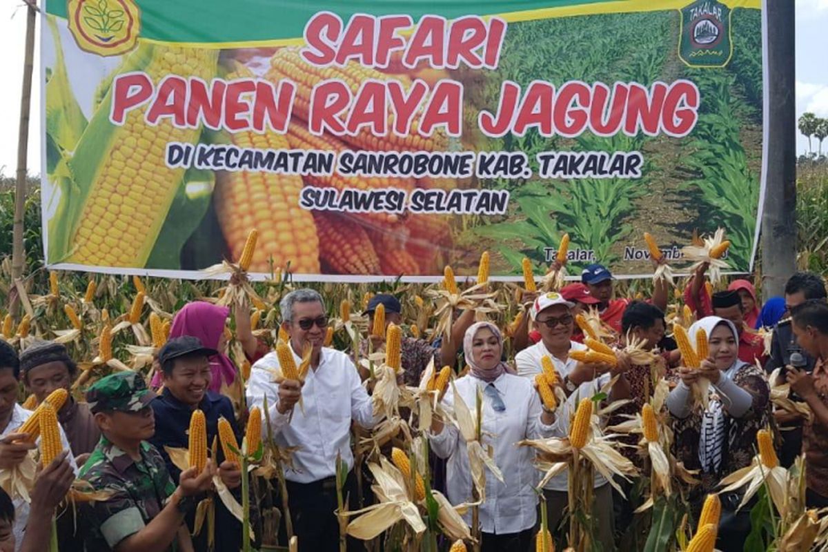 Kepala Balitbangtan Prof (R). Muhammad Syakir bersama Kepala Dinas Ketahanan Pangan, Tanaman Pangan dan Hortikultura Provinsi Sulawesi Selatan Fitriani, serta Bupati Takalar yang diwakili Kepala Dinas Pertanian kabupaten Takalar Muh. Hasbi saat menghadiri kegiatan Safari Panen Jagung di Kecamatan Sonrobone, Takalar, Sulawesi Selatan, Sabtu (10/11),