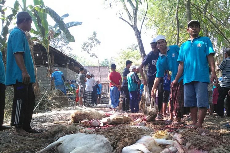 Komunitas muslim di Singapura berkurban ribuan ekor kambing untuk warga di Kabupaten Grobogan, Jawa Tengah, pada hari raya Idul Adha, Jumat (1/9/2017).? Sebanyak 1332 ekor kambing tersebut diserahterimakan di Pondok Pesantren Miftahul Huda, Desa Ngroto, Kecamatan Gubug, Grobogan.?