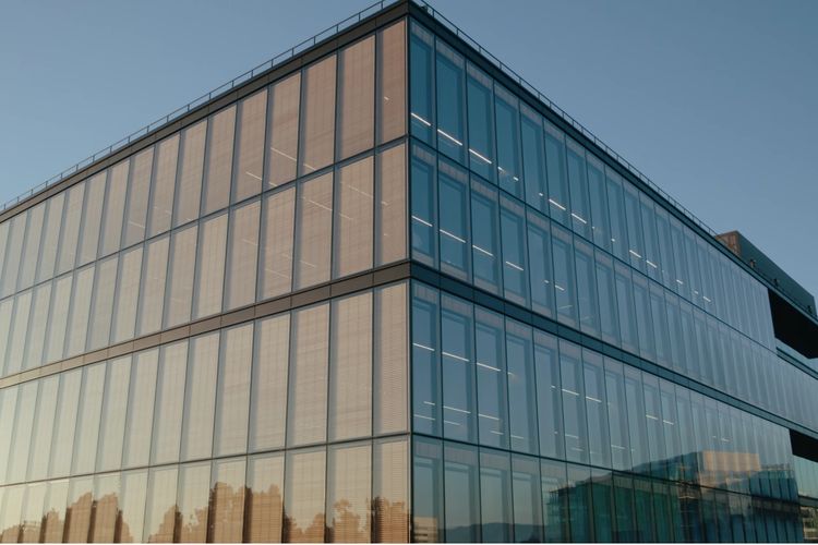 Tangkapan layar dari video YouTube yang menampilkan kantor Google dengan material utama berupa kayu solid. Bangunan kantor Google tersebut dinamakan 1265 Borregas yang terletak di di Sunnyvale, California, Amerika Serikat (AS).